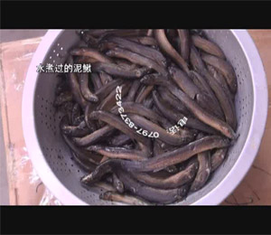 �~(y��)���ȡ�C(j��)-�����q��