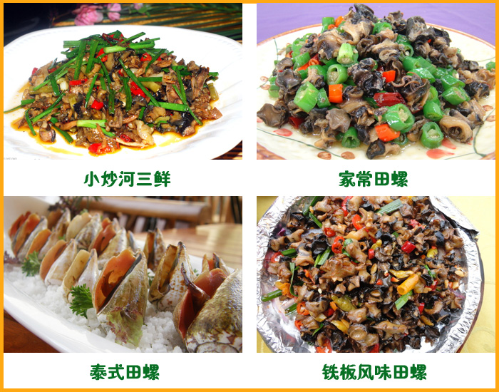 ��������������ʳ����������