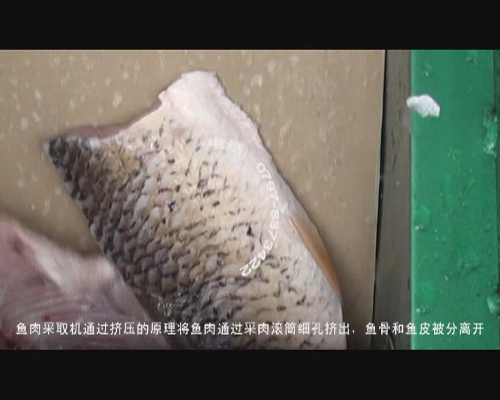 �~(y��)��ӹ������O(sh��)��