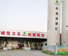 �Ї����N������