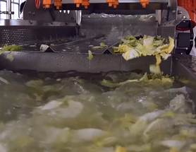 �o�p�A(y��)��