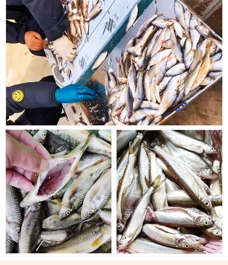 ��С�~�C(j��)�F(xi��n)��(ch��ng)���~��(sh��)��