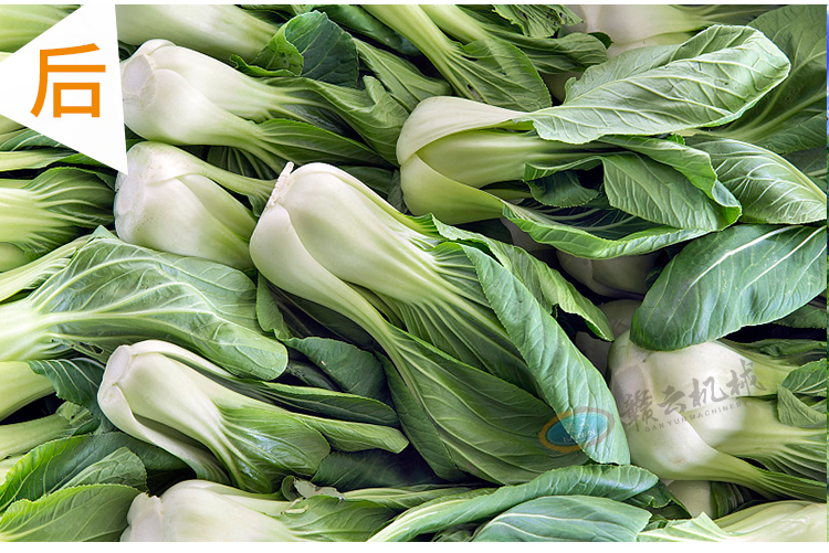 �߲�Óˮ��ĈDƬ