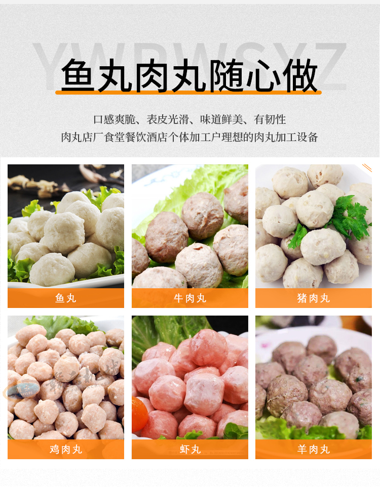 �~�������S����